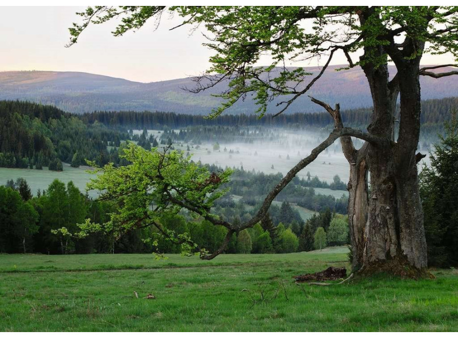 RAVENSBURGER Puzzle Šumava 1000 dílků