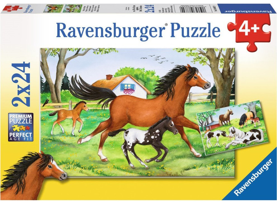 RAVENSBURGER Puzzle Svět koní 2x24 dílků