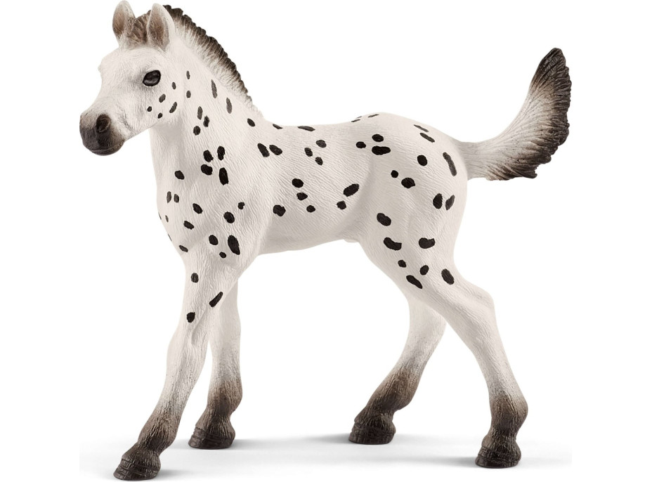 SCHLEICH Horse Club® 13890 Knabstrupský kůň - hříbě (světlé)