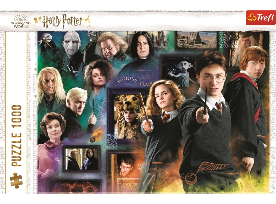 TREFL Puzzle Harry Potter: Kouzelnický svět 1000 dílků