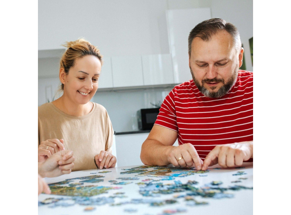 TREFL Puzzle Pouť 3000 dílků