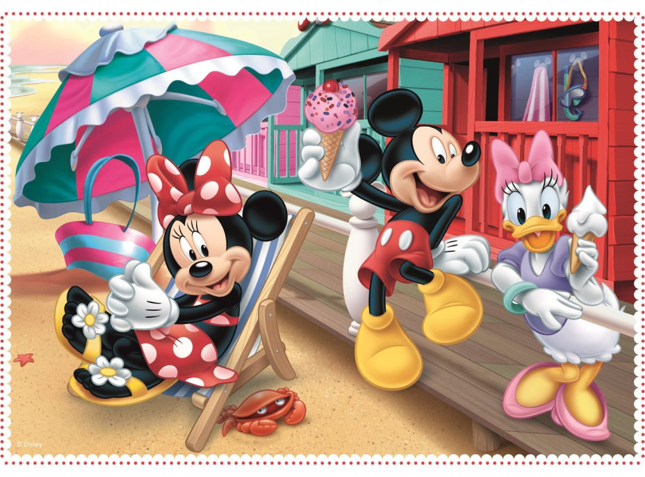 TREFL Puzzle Minnie s přáteli 4v1 (12,15,20,24 dílků)