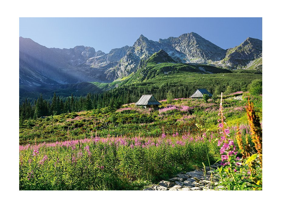 CHERRY PAZZI Puzzle Gąsienicowa dolina, Vysoké Tatry 1000 dílků