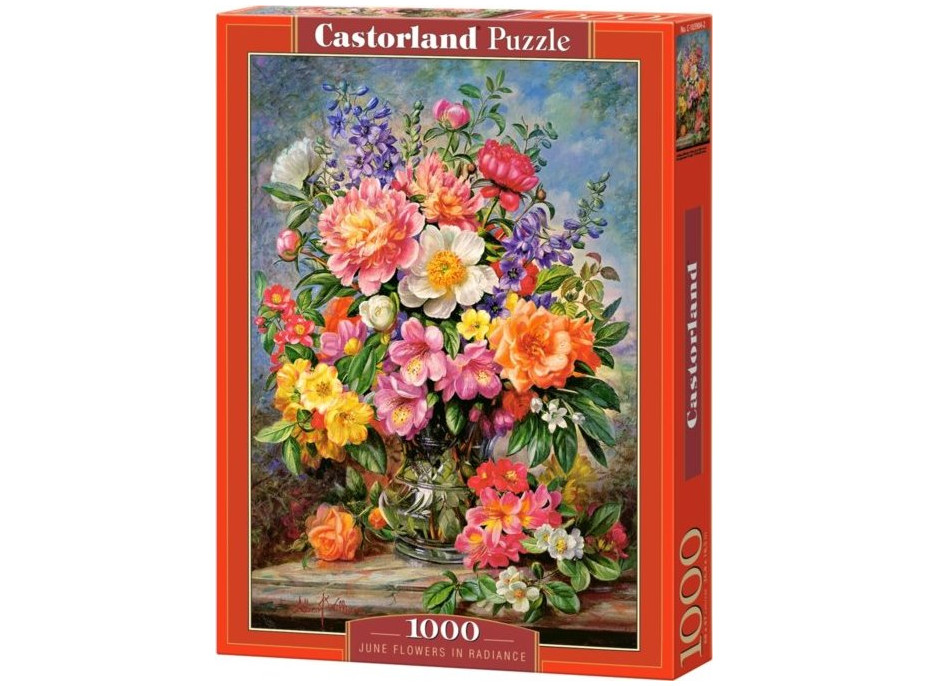 CASTORLAND Puzzle Červnové květiny 1000 dílků