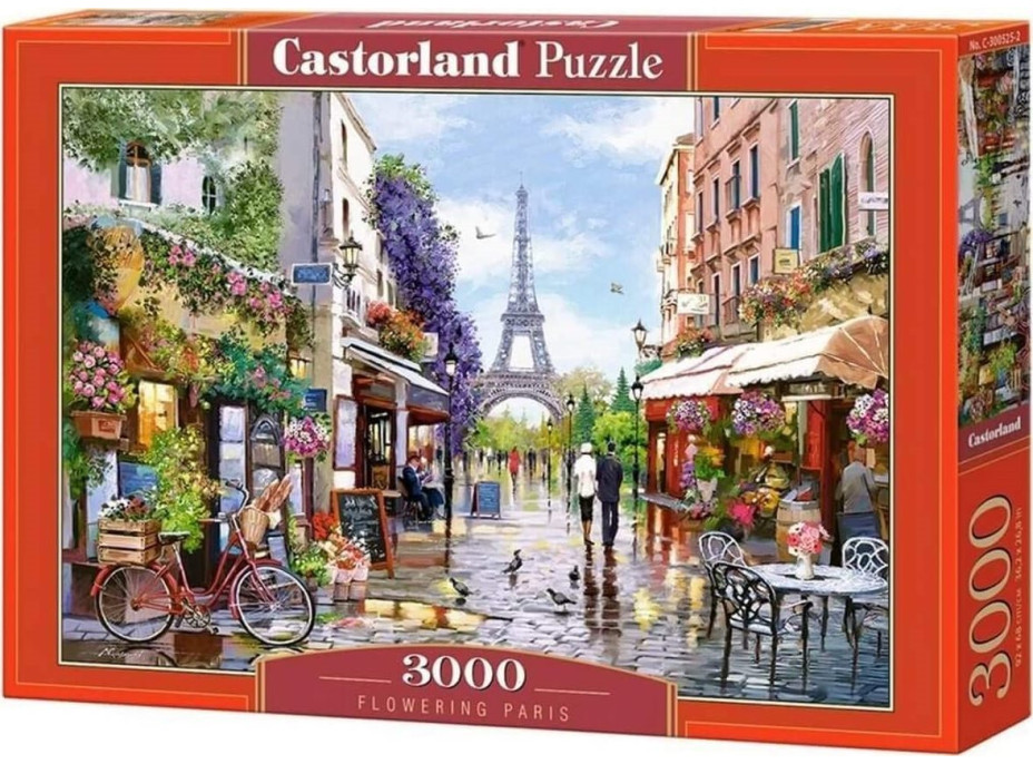 CASTORLAND Puzzle Rozkvetlá Paříž 3000 dílků