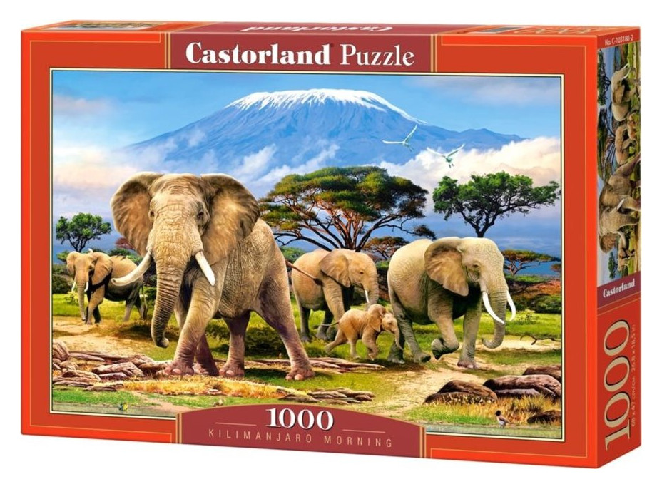 CASTORLAND Puzzle Ráno pod Kilimandžárem 1000 dílků