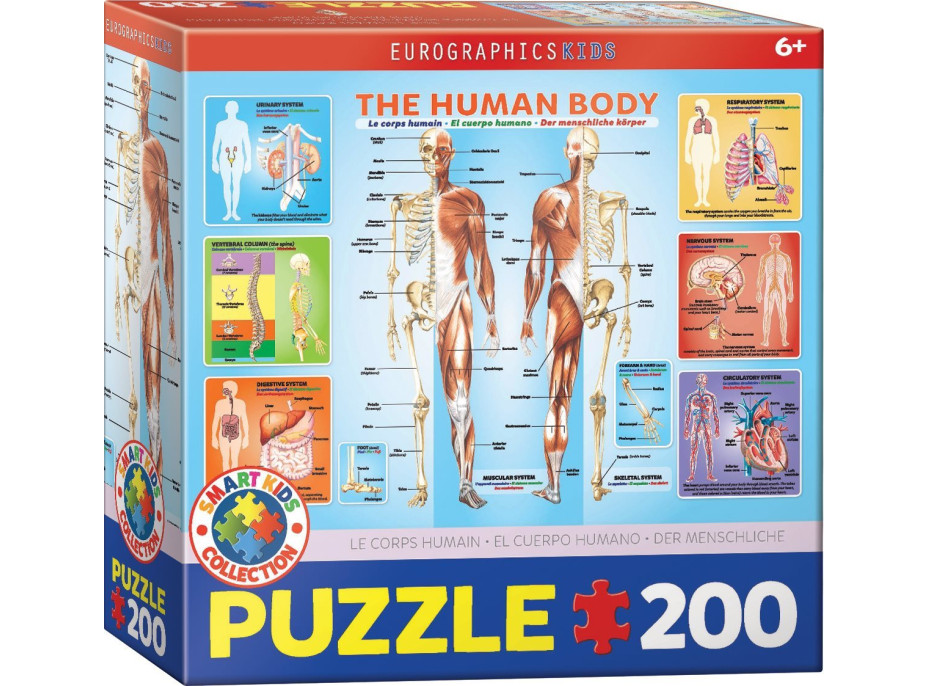 EUROGRAPHICS Puzzle Lidské tělo 200 dílků