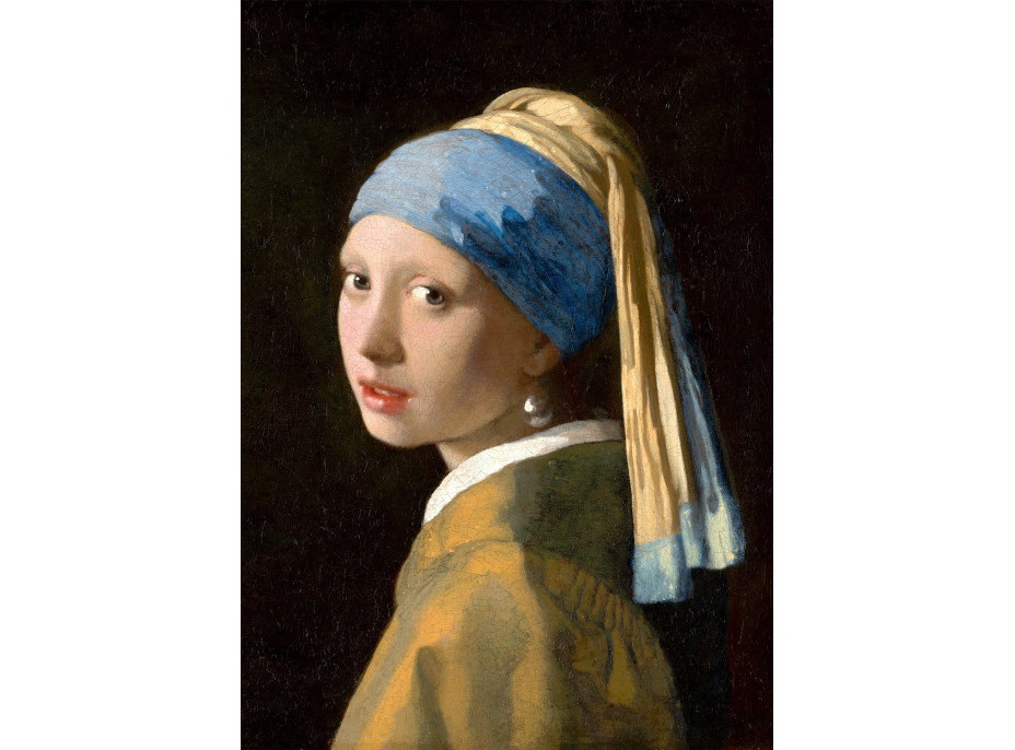 ENJOY Puzzle Johannes Vermeer: Dívka s perlou 1000 dílků