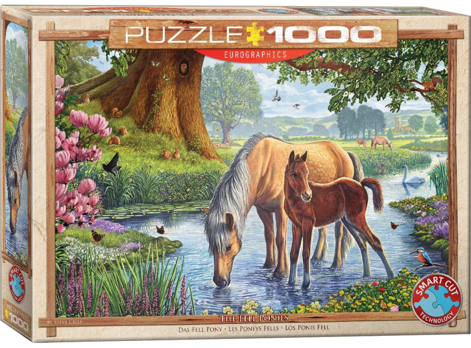 EUROGRAPHICS Puzzle Fellští poníci 1000 dílků