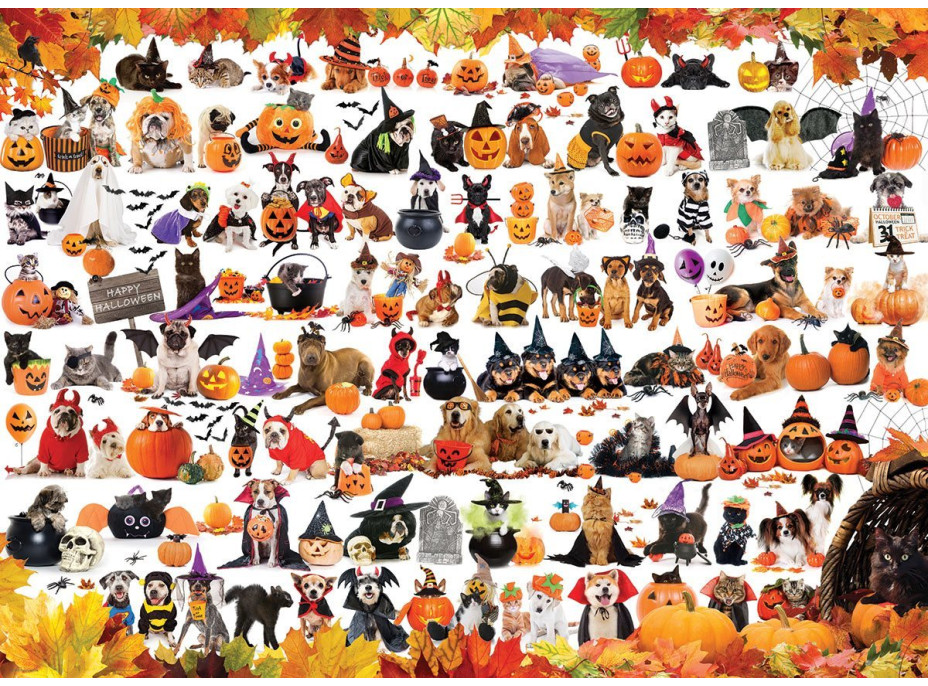 EUROGRAPHICS Puzzle Halloweenská zvířátka 1000 dílků