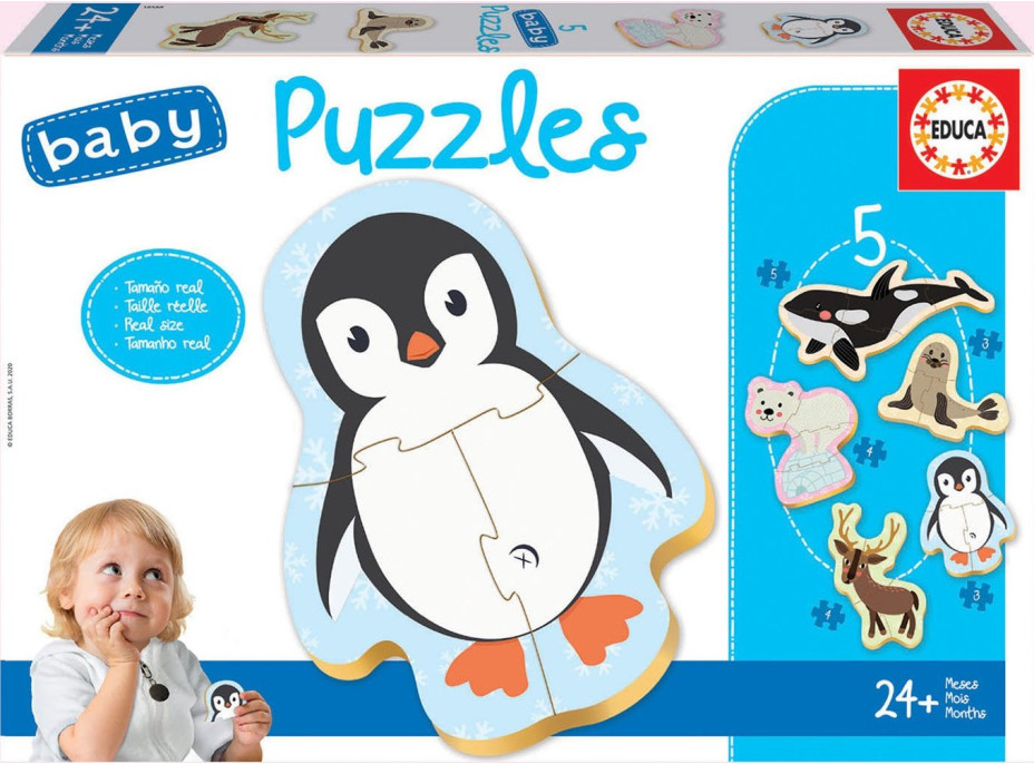 EDUCA Baby puzzle Polární zvířata 5v1 (3-5 dílků)