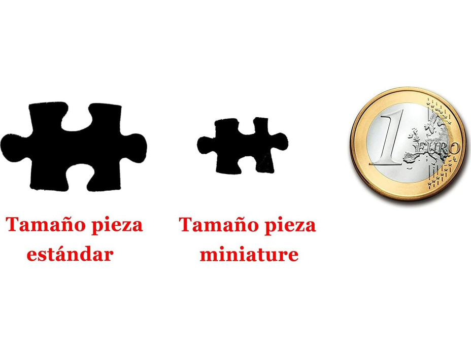 EDUCA Miniaturní puzzle Svět 1000 dílků