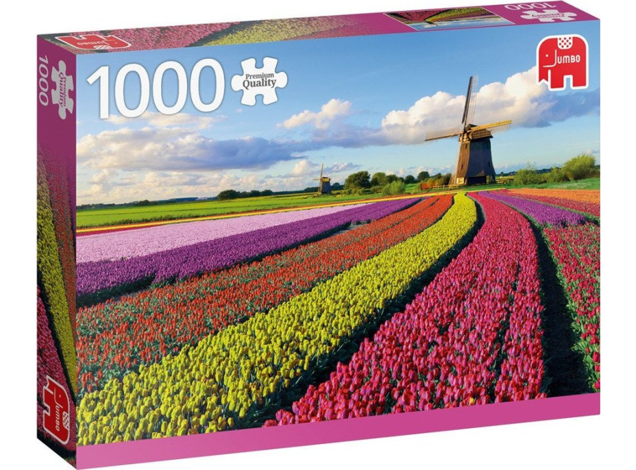 JUMBO Puzzle Pole tulipánů 1000 dílků