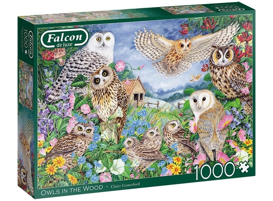 FALCON Puzzle Sovy v lese 1000 dílků