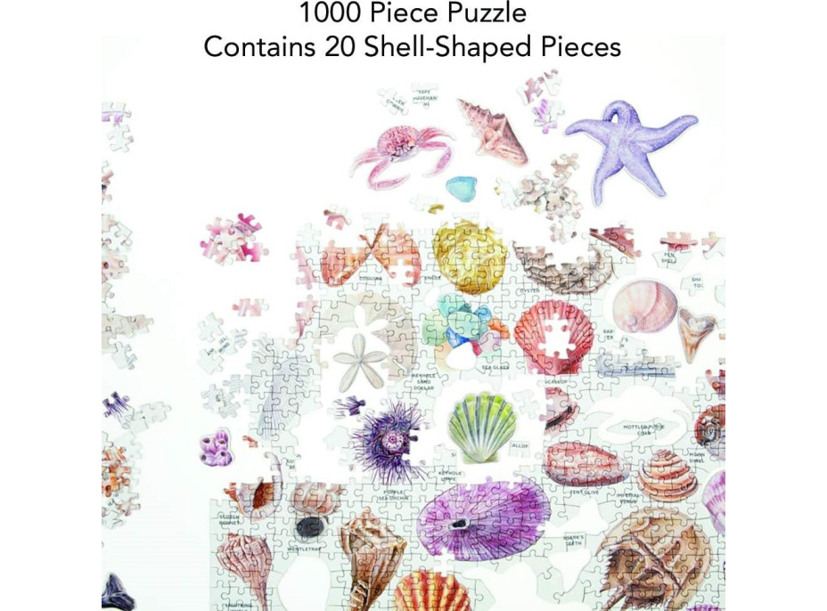 GALISON Puzzle Poklady z pláže 1000 dílků