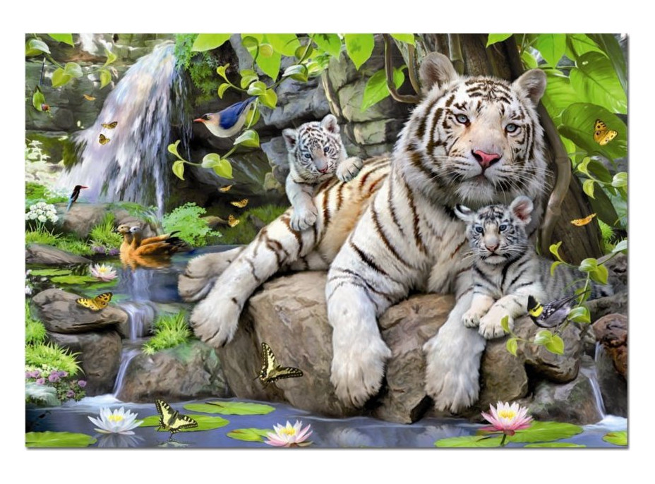 EDUCA Puzzle Bílí bengálští tygři 1000 dílků