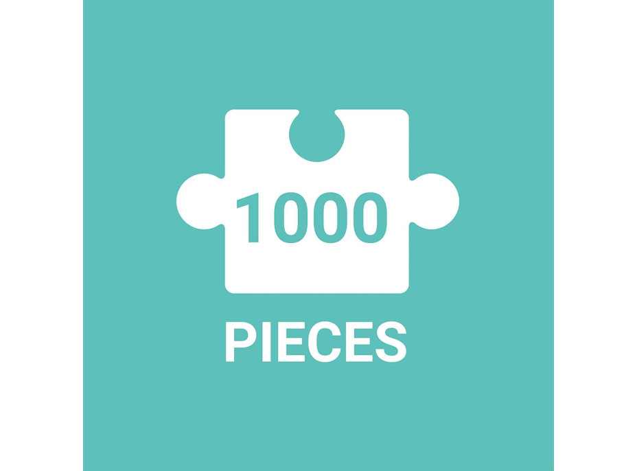 GALISON Puzzle Umění sýrového prkénka 1000 dílků