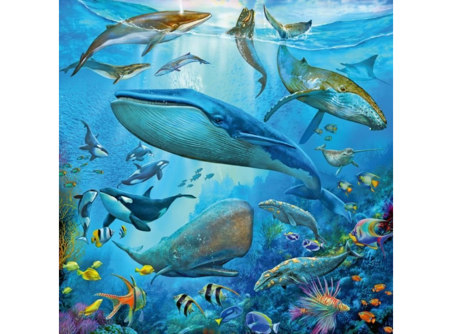 RAVENSBURGER Puzzle Zvířata z oceánu 3x49 dílků