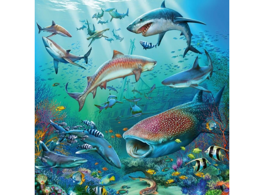 RAVENSBURGER Puzzle Zvířata z oceánu 3x49 dílků