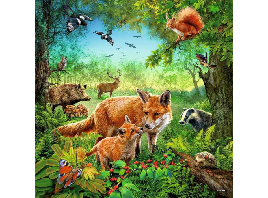 RAVENSBURGER Puzzle Zvířata 3x49 dílků