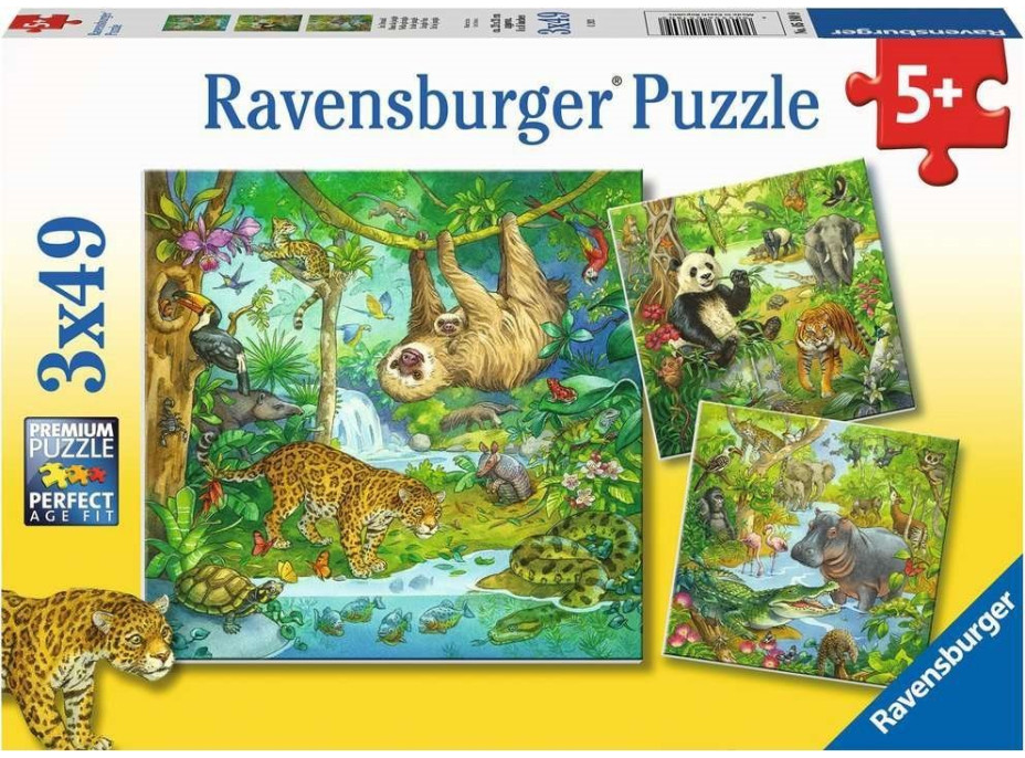 RAVENSBURGER Puzzle Zvířata v džungli 3x49 dílků