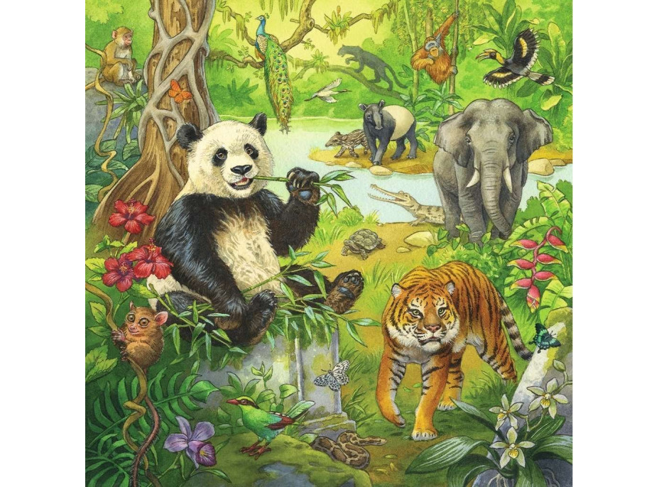 RAVENSBURGER Puzzle Zvířata v džungli 3x49 dílků