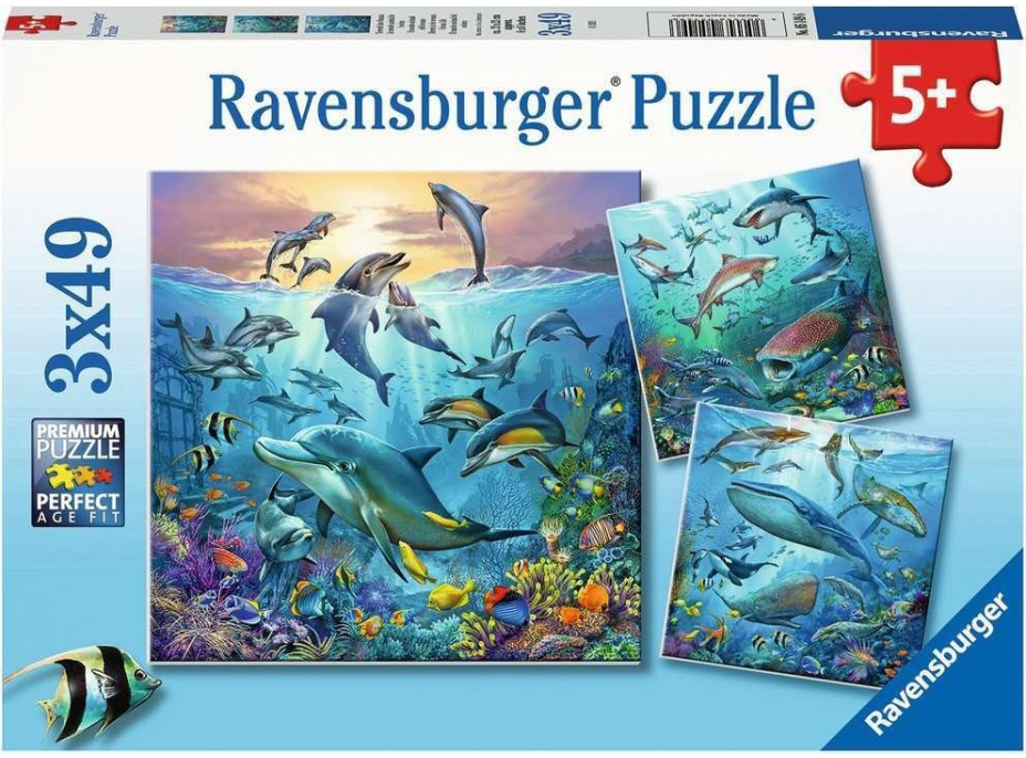 RAVENSBURGER Puzzle Zvířata z oceánu 3x49 dílků