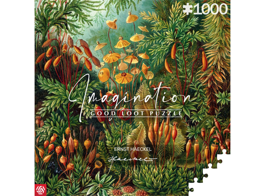 GOOD LOOT Puzzle Imagination: Ernst Haeckel - Muscinae 1000 dílků