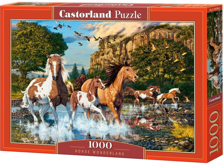 CASTORLAND Puzzle Koňská říše divů 1000 dílků